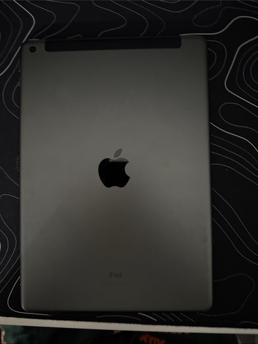 Apple iPad in Space Gray - Classic Aluminum Back